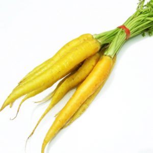 Dutch Carrots Yellow