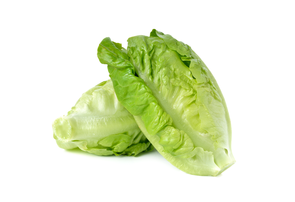 Lettuce Baby Cos (twin pack)